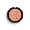 Topface Instyle Blush On 011