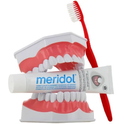 Meridol dentifrice protection gencives et blancheur 75ml