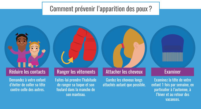 Comment prévenir l’apparition de poux?